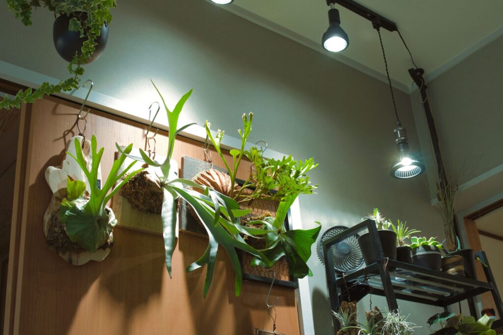IKEA植物育成LEDライト４個＋ダクトレールセット - ライト・照明