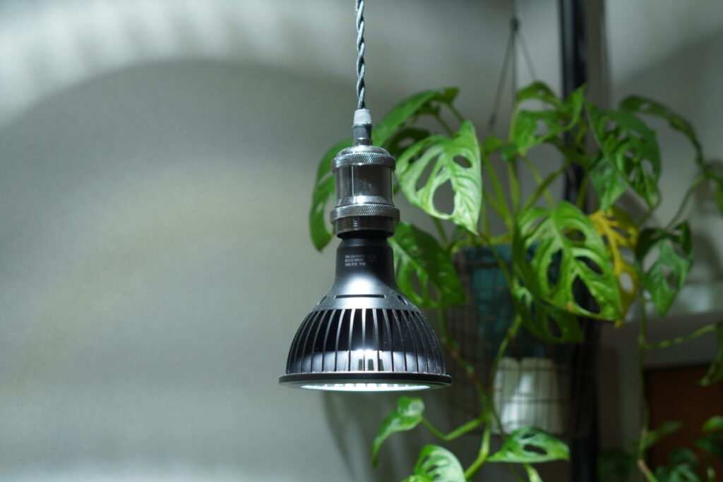 観葉植物におすすめな植物育成LEDライト6選（ガチ愛用中）【葉焼けしま